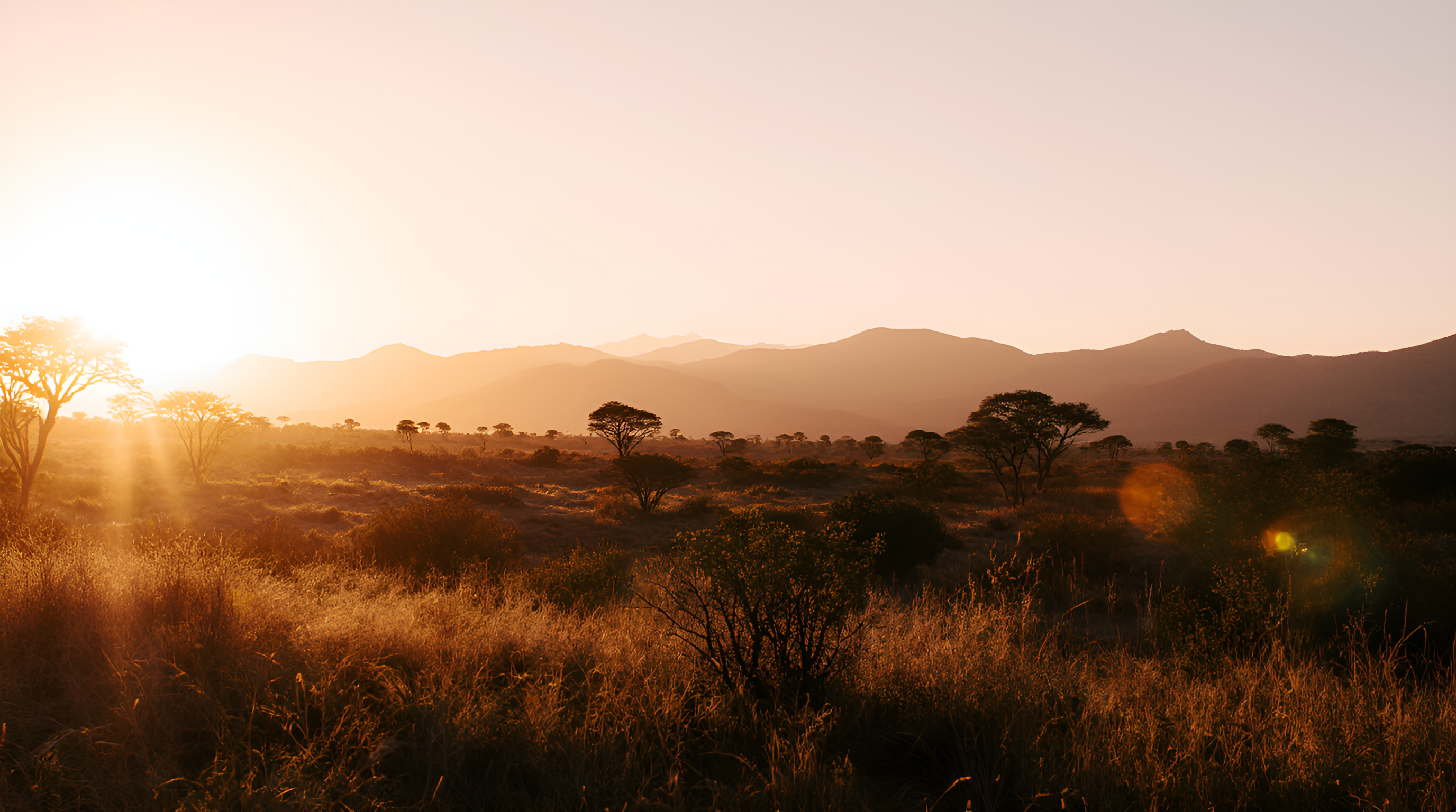 OTP — Government case reporting system for citizen-to-department communication